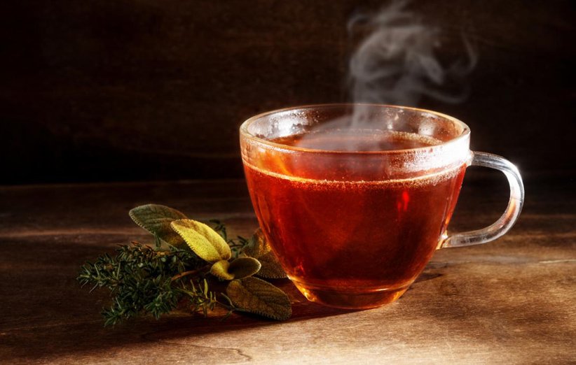 چای ساز کاراجا مدل Berry Tea 2 in 1 رنگ بنفش